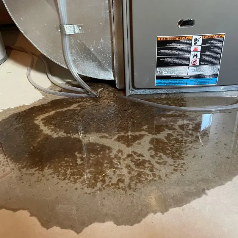 Pipe Burst and Leak Restoration in Redwood County, MN